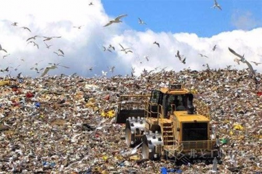 王凱軍：2020是有機廢物厭氧處理技術發展元年