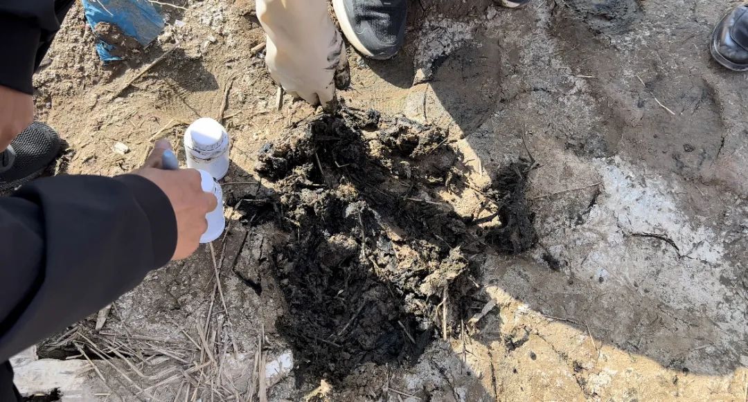 消失的污泥去哪兒了?- 消失的污泥去哪兒了?-