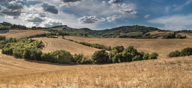 中央環保督察通報典型案例，污泥處置問題再上榜