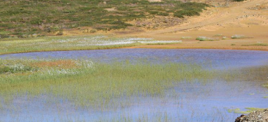 污泥違法違規處置問題屢屢發生 如何做好資源化利用？