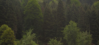 環境部答復“建議國家加大對固體廢物處理技術和專項設備的研發投入，增加專業處理機構的數量”的建議