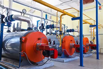 上海綠色制造展｜生物質天然氣制綠氨技術獲國際認證，實現全生命周期碳足跡追蹤-